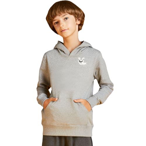 Boy Hoodie Cute Glasses Animal Ant Embroidery O-neck Cotton Pullover Kangaroo Pocket Thick Fall Loose Sweatshirt