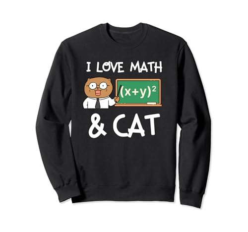 Funny Math Cat Lover Meows And Equations Sudadera