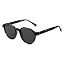 Black Tortoise Frame/Smoke Lens
