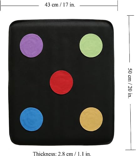 Fonher Five Bulls-Eye Fencing Target Fencing Auxiliary Training Equipment Fiber Material Shockproof Suitable for Fencing Gym Training and self-Training?Black?