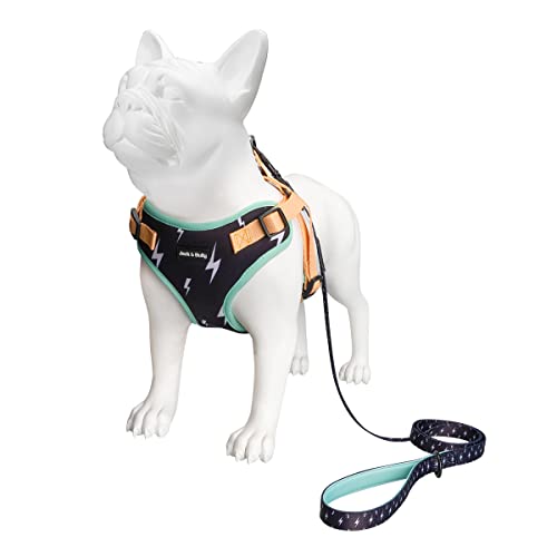 Jack & Bully Dog Harness, No Pull Vest Step-In Adjustable Neoprene Soft With Breathable Mesh, All Weather, French Bulldog (Medium) #TOP3