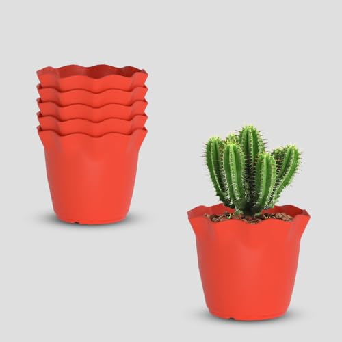 Image of YUCCABE ITALIA SHERA 6 Inch Plastic Flower Pot 6 Piece Set of Unbreakable Round Shape Planter for Home Garden Seedling, Indoor and Outdoor (Red)