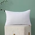 MIULEE Throw Pillow Insert Hypoallergenic Premium Pillow Stuffer Sham Rectangle for Decorative Cushion Bed Couch Sofa 12x20 Inch