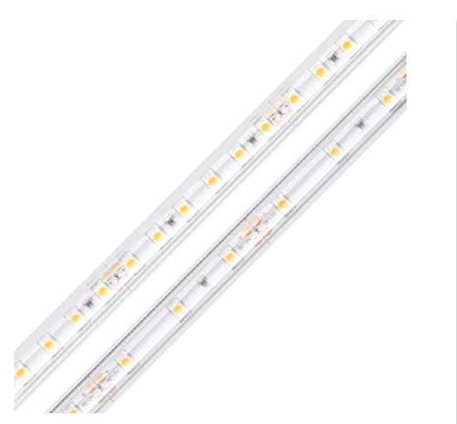 Tira LED Diode LED DI-12V-BLBSC1-30 12V 3000K miniatura 1