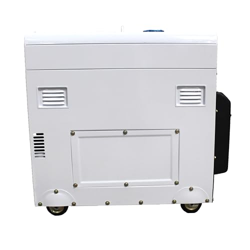 Hyundai Standby Diesel Generator Electric Start, Single Phase, Long-Run Backup Generator, 25L Fuel Tank, AVR, ATS Compatible, 30hr Runtime, 70dB Quiet Operation