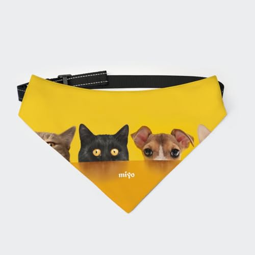 [§miyo] ybgp o_i Lp ֕t OpXJ[t ߉\ HGv y _炩 U av[g lRL (1)