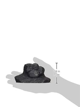 Amazon | マスターピースモデル 1/1 トリロバイト 三葉虫 化石