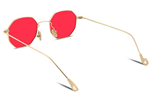 FEISEDY Hipster Small Polygon Women Men Sunglasses Delicate Metal Frame B22542