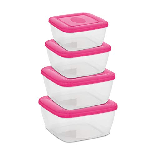 Image of Asian Plastowares Plastic Flora Container, 500ml, 1 Litre, 1.5 Litre, 2.5 Litre, Set of 4, Color May Vary