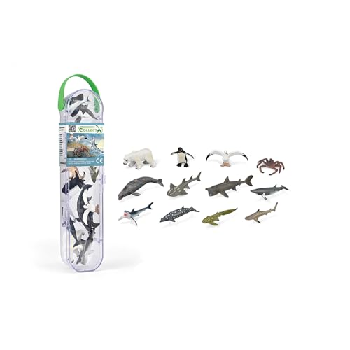 COLLECTA iRN^j~j V[Aj}3 Cm tBMA 12 Zbg/CollectA ~j Box A1211