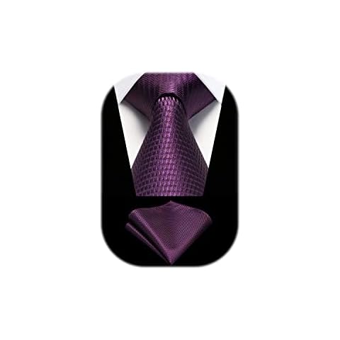 HISDERN Cravate Violet et Pochette Cover