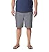 Columbia Men's Washed Out Short, Grey Ash, 44