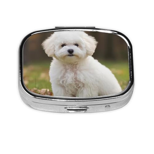 s{bNX rVt[[  XNGA sP[X ~j ^ gx s{bNX zp ^ 킢 2Rp[gg  s I[KiCU[ |[^u s e z_[ ̖ r^~