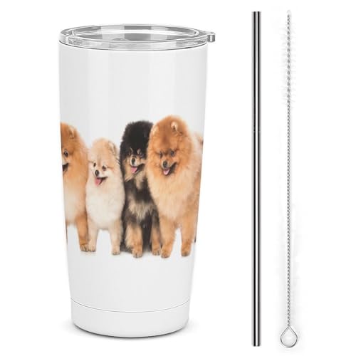 ԗpRbv |jA 킢   ԗp|bg ԃJbv R[q[Jbv ۉRbv EH[^[{g ^fM d\  RrjJbv ԗp^u[ J[pi  ԗp e g/ƒp 蕨