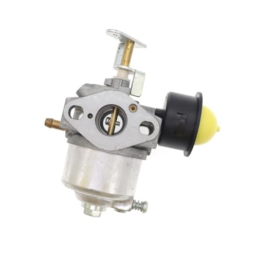 Carburateur tondeuse 1P56F pour réparer un moteur qui ne démarre plus