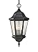 Feiss OL5911BK Martinsville Outdoor Lighting Pendant Lantern, Black, 3-Light (10"W x 21"H) 180watts