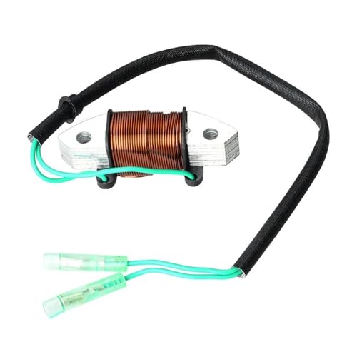Bobina de encendido de alta eficiencia para motores de barco de 2 tiempos 25-30 HP