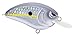 SPRO Fishing SLJTR50HMS Little John Tr 50 Homemade Shad Treble Rb Nsb 5