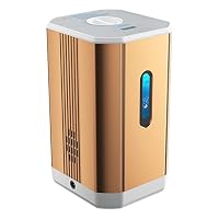 Amazon.co.jp : FXNFXLA 99.99%純度の水素吸入器、ポータブルデュアル