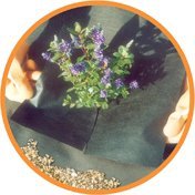 Tela Weedban 50 Weed Control de Nutley 10 x 1 m - Negro