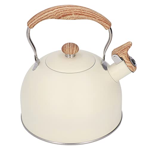 Bouilloire à thé en acier inoxydable haut de gamme KKPLZZ avec design ergonomique