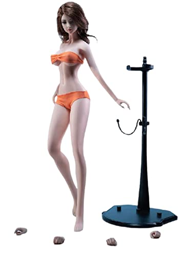 Corps sans couture 1/6 Phicen PLLB2021-S40 avec squelette articulé invisible AMITD