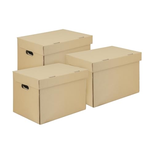 IMBALLAGGI 2000-3 Scatole Cartone con Coperchio 40x30x30 100% Eco a