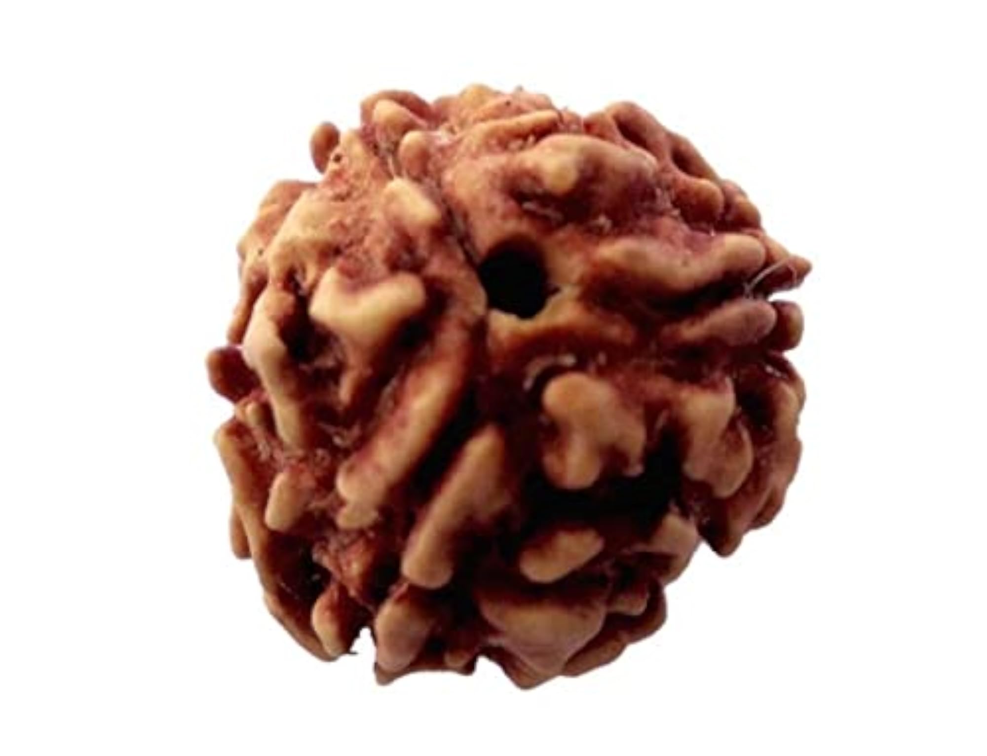 3 Mukhi Rudraksha Nepal Bead, Unisex