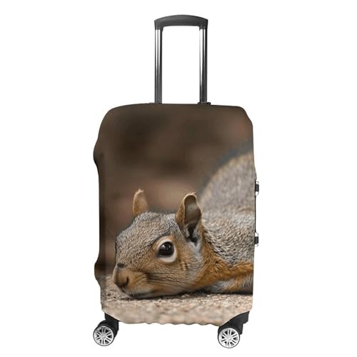 Carry on Luggage Cover Squirrel Just Laying Suitcase Covers for Luggages Tsa Approved Travel Luggage Sleeve Protector Elastic Suitcase Protector Anti-Scratch Washable Fits 19-30 Inch Case -S