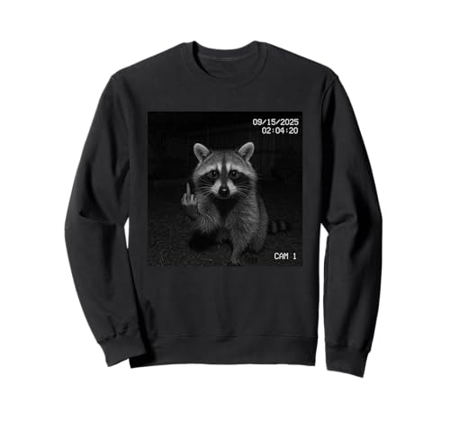 Funny Raccoon Flipping Off Middle Finger On Security Camera g[i[