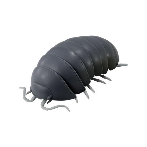 Amazon.co.jp: だんごむし03 フチゾリネッタイコシビロダンゴムシ編