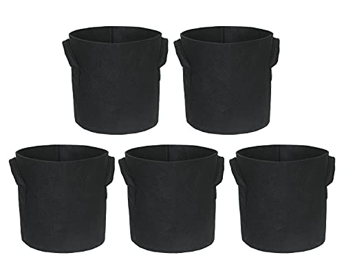 Divine Tree Fabric Grow Bags for Terrace Gardening, 10 Inch, 300 GSM, Set of 5 - Black