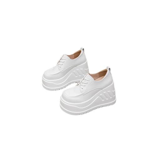 [HALLE] 10q[  [XAbvV[Y pvX vbgtH[ JWA [t@[ v zCgEubN (, l, 24.0 cm, l, {̌C̃TCY@)