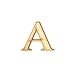 2" Decorative Wooden Greek Letter (ALPHA)