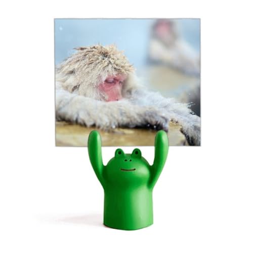 Support de photographie pour stabiliser vos décors de singe