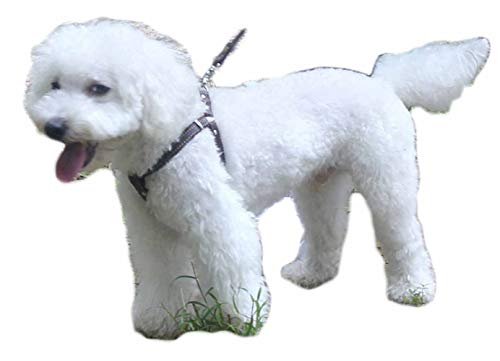 Hundegeschirr Kleine Hunde Leder Verstellbar feiling Hundegeschirr Welpen Brustgeschirr Haustier Ausbruchsicher Katzengeschirr Ledergeschirr Weichem mit 1.3m Hundeleine Leder (Braun)