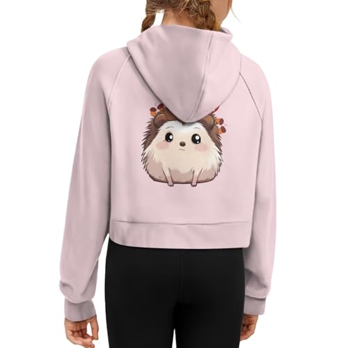 Sweatshirts for Girls Kids Collar Zip Up Pullover Hoodies Cropped Long Sleeve Top2