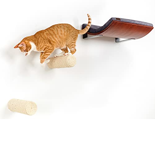 COSY AND DOZY Kit für eine Katze CHILL | Katzen | Wand | Wandliege | Katzenliege | Katze Zubehör | Haustierbett - 50 x 41 cm | Wandkratzbaum | Kletterschrit | Sisal Post Cover