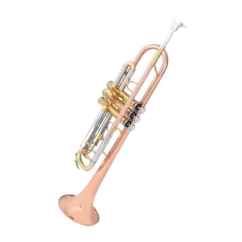 Trompeta Profesional De Bronce Fosforado Con Afinación En Si Bemol Ideal Para Principiantes. Trompeta Principiante