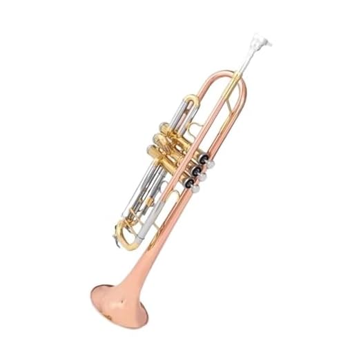 Trompeta Profesional De Bronce Fosforado Con Afinación En Si Bemol Ideal Para Principiantes. Trompeta Principiante