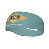 Flag of Delaware Print Sports Sweatband Casual Sweatband Lightweight Breathable Hairband for Hiking Running