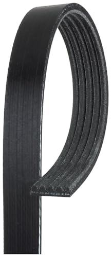 Correa trapezoidal ACDelco 5K290 acanalada para reparación mecánica preventiva del coche