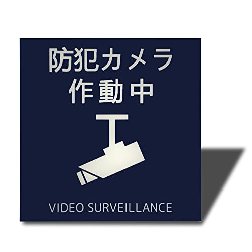 Seagron hƃJ 쓮iCXg^jTCv[g ʃe[vt XebJ[ 2oAN  ϐ ό (u[ 100×100oi1j)