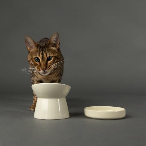 Image of Scruffs Icon Stoneware/Ceramic Raised Cat Feeder Bowl & Saucer Set - Cream