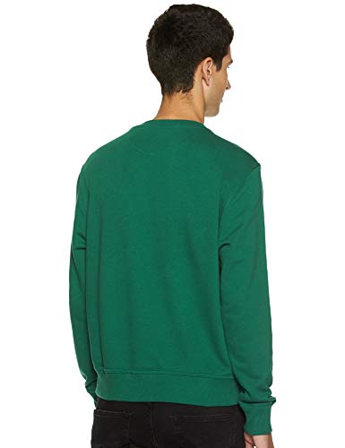Image of U.S. POLO ASSN. Men Knitwear