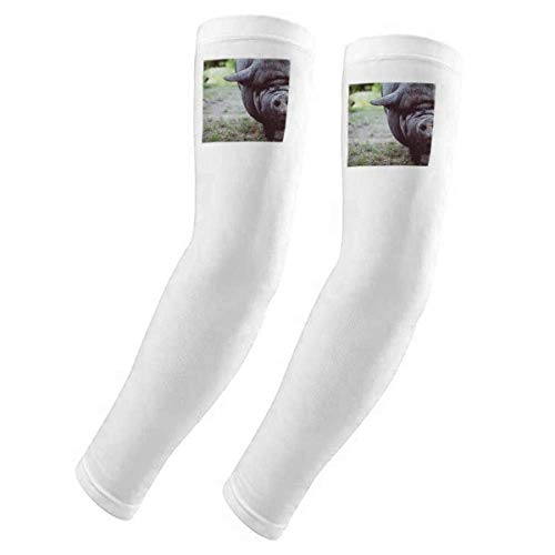 Manchons de protection UV pour la photographie d'animaux sauvages pour éviter les coups de soleil