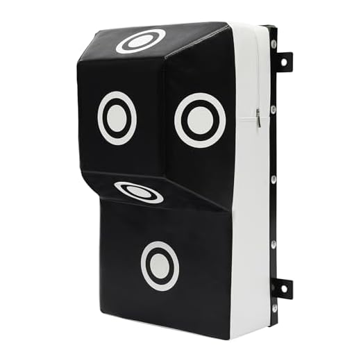 Wall Mounted Punching Bag