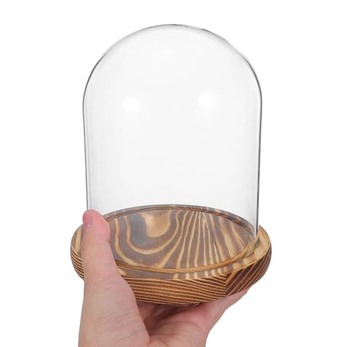 Cúpula de vidrio transparente con base de madera pack de 2 campanas de cristal para mesas 5
