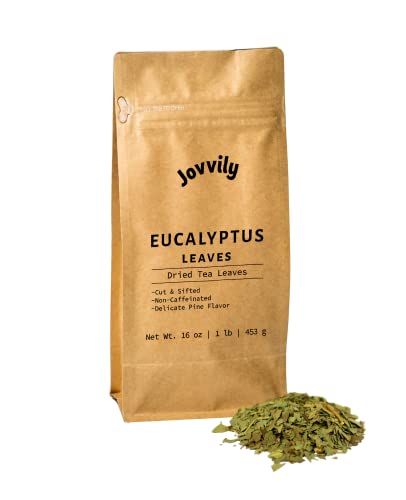 Jovvily Eucalyptus Leaves - 1lb - Dried - Cut &