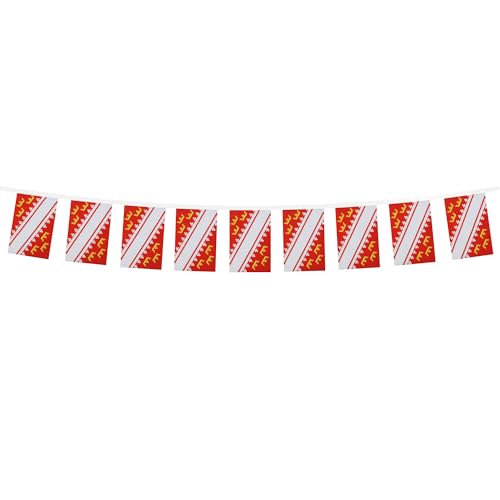 Image of AZ FLAG Alsace 6 meters BUNTING Flag 20 flags 9'' x 6'' - French region of Alsace STRING flags 15 x 21 cm